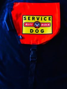 Ruff Rider Roadie Service Dog cape picture
