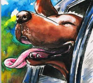 Mile High Dog - October 2016 article happy traveling dog image
