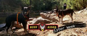 Ruff Rider Cyber Week 2018 - Cyber Monday - All Roadies on Sale!