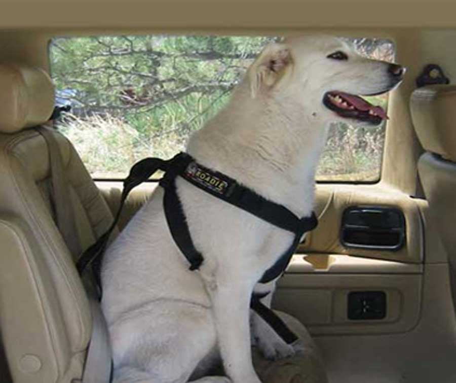 Ruff Rider Dog Safety Harness